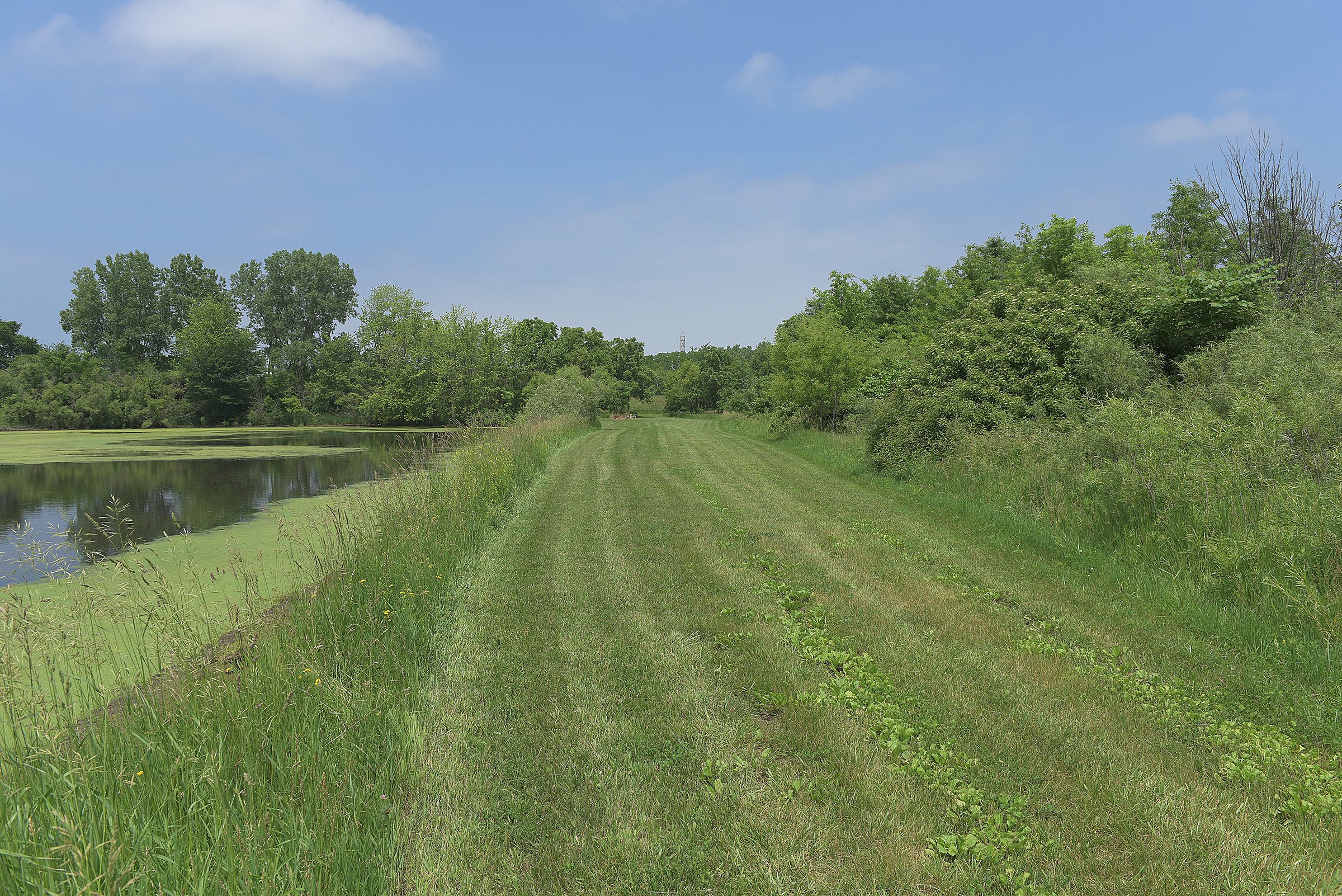 Pond on a farm in Lake County, Indiana - LAND AUCTION - 147+/- ACRES OFFERED IN 3 TRACTS IN LAKE COUNTY, INDIANA